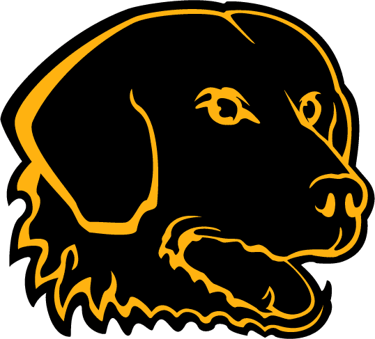 UMBC Retrievers 1997-2009 Secondary Logo iron on paper